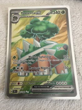 Carte Pokémon Torterra ex secret