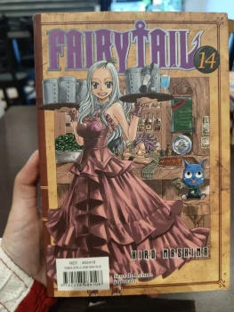 Fairytail tome double 13 et 14