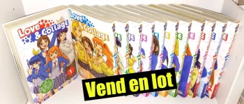 Love & collage : 12 tomes (sur 12)