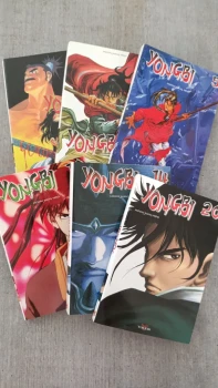 Lot de 6 mangas yongbi