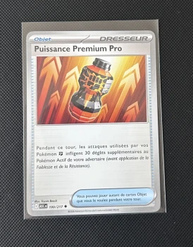 Carte Pokémon - Puissance Premium Pro 199/217 - Héros Transcendants