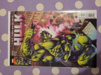 Incredible Hulk 24