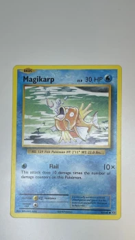 Magikarp LV8 / Holographique