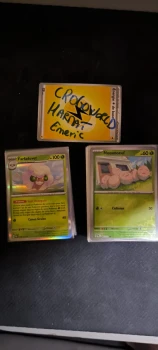 POK - PRE Ev8.5 - lot REV + HOLO