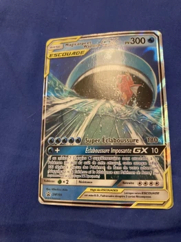 Magicarop et Wailord
