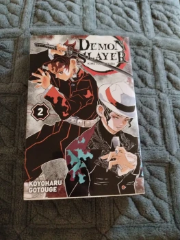 Démon slayer tome 2