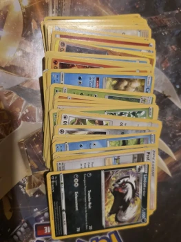 Pokémon