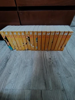 Dragon ball edition double 1 à 17