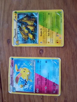 Carte pokémon