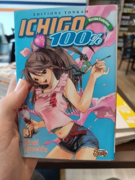 Ichigo 100% tome 4