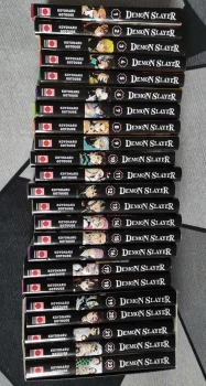 Demon Slayer intégral