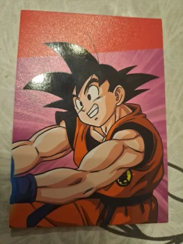 D55 dragonball universal collection panini