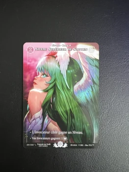 Niveau supérieur de soutien