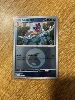 Carte Holo Reverse Pokémon Crocrodil 042/217 Héros Transcendants