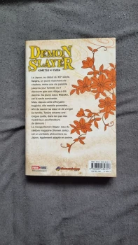 Demon slayer tome 1