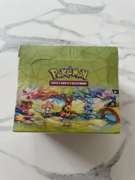 Display mini tin paldea