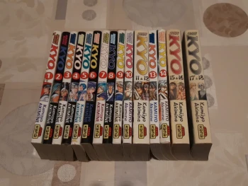 Lot 15 mangas - Samourai deeper kyo - tomes 1 à 18