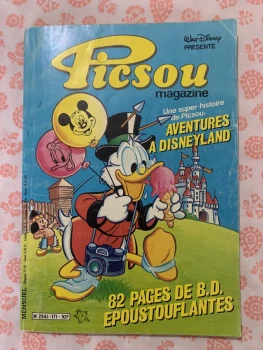 Aventures à Disneyland