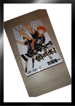 Haikyuu - Official Guide Book