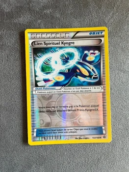 Lien spirituel kyogre 132/160