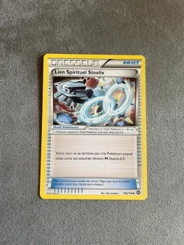 Lien spirituel steelix 106/114