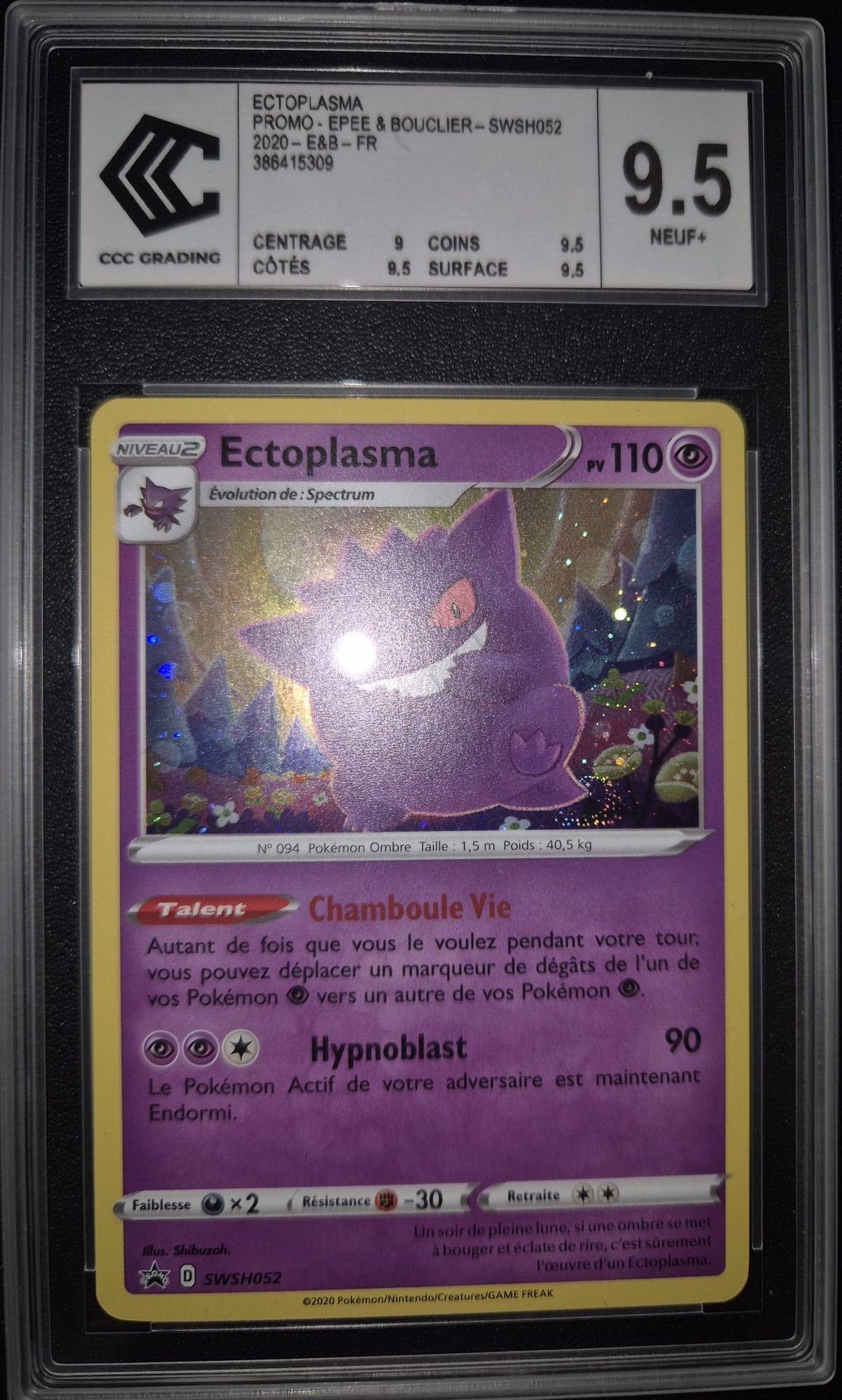 Ectoplasma