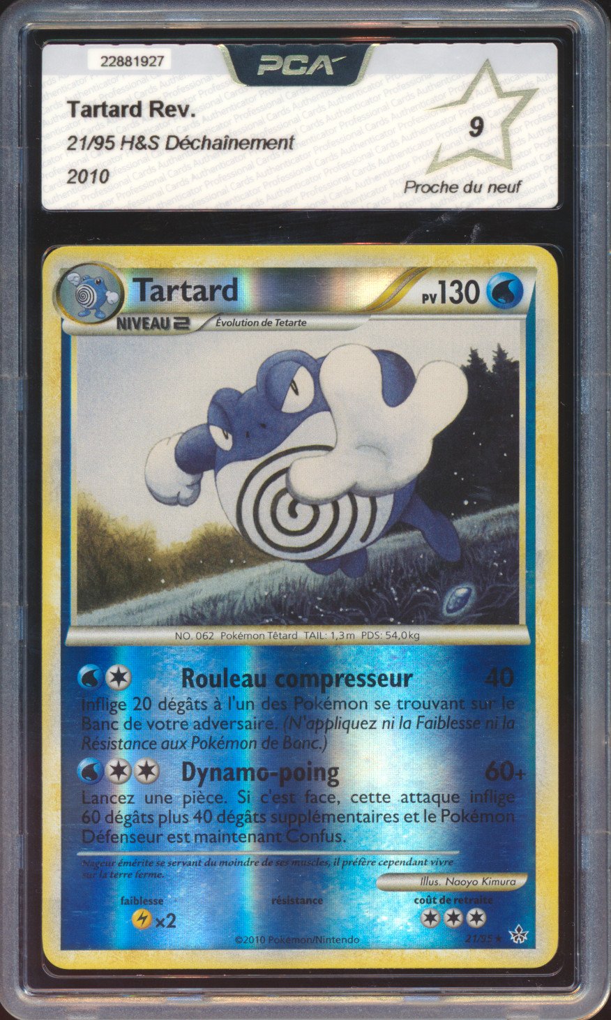 Tartard Reverse