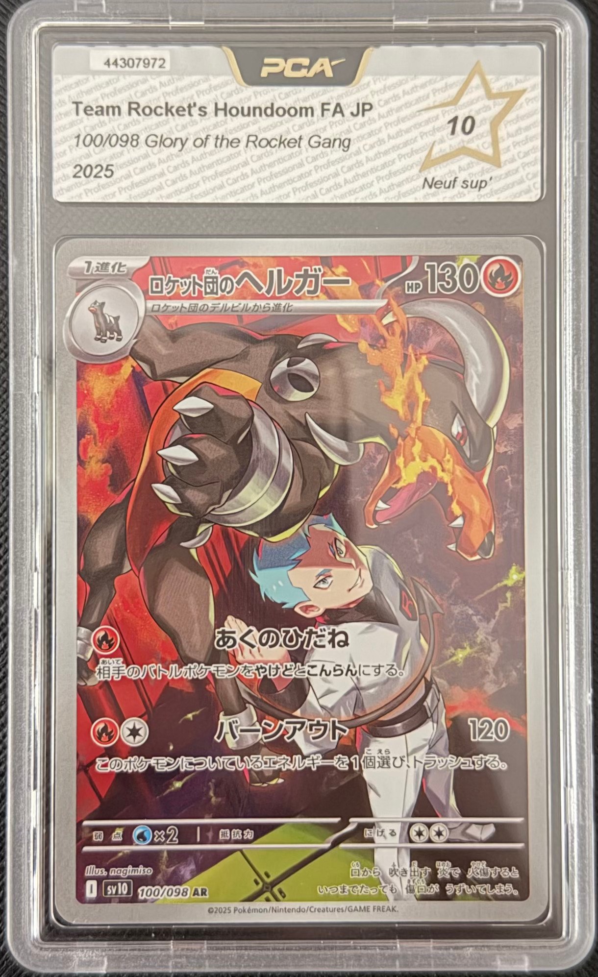 Team Rocket’s Houndoom
