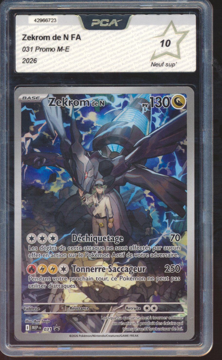 Zekrom de N