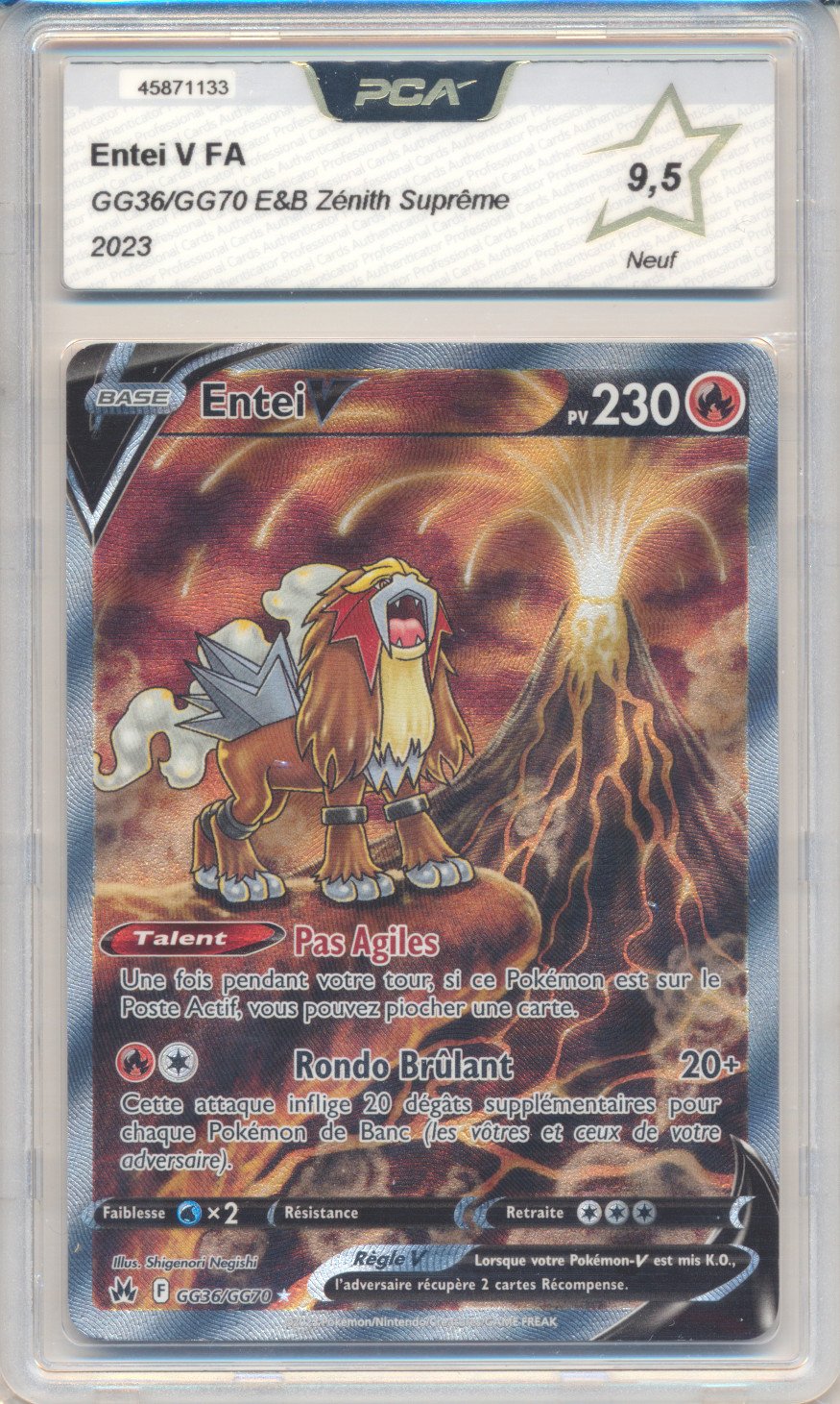 Entei V