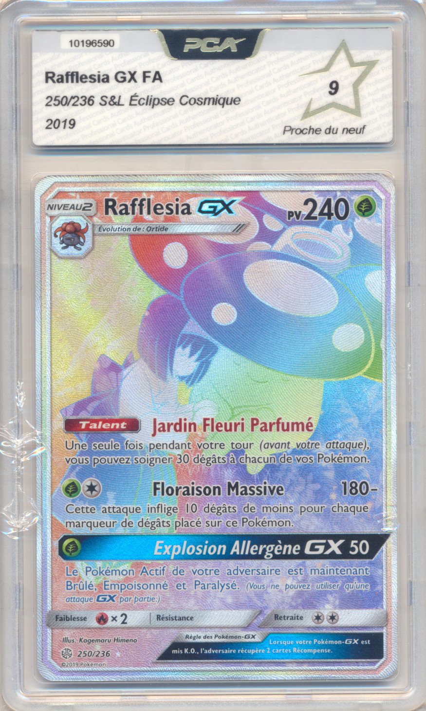 Rafflesia GX